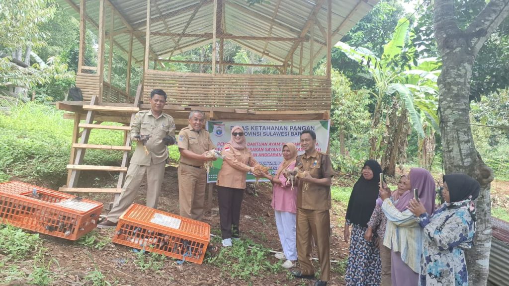 Distapang Sulbar Salurkan Bantuan Ayam KUB dan Sarana Pendukung di Kelurahan Bebanga*