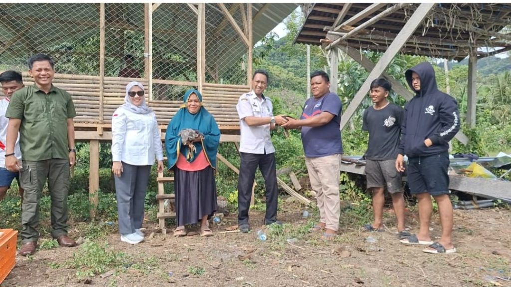 Distapang Sulbar Kembali Menyalurkan Bantuan Ayam KUB dan Sarana Pendukung di Desa Lebani